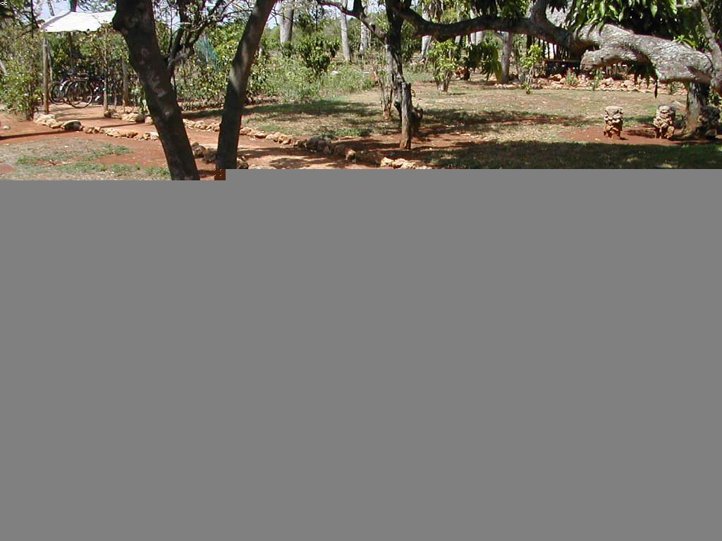 និន្នាការថ្មីនៃហ្គេមភ្នាល់: ការលេង និងចំណេះដឹងចាំបាច់