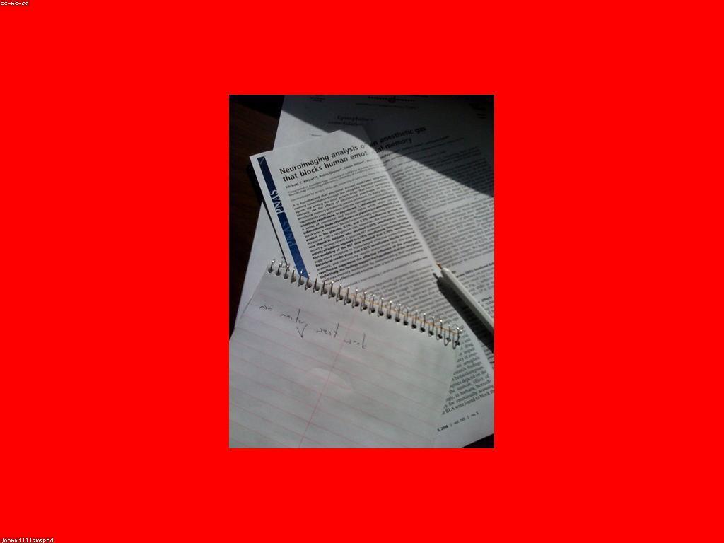 អត្ថបទវិភាគ៖ សំខាន់នៃការបង្ហាញមតិ និងការបកស្រាយ