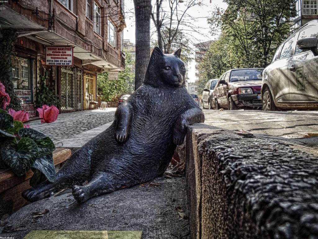 គោលការណ៍សំខាន់សម្រាប់ការប្រើប្រាស់ហ្គេមភ្នាល់ថ្មី